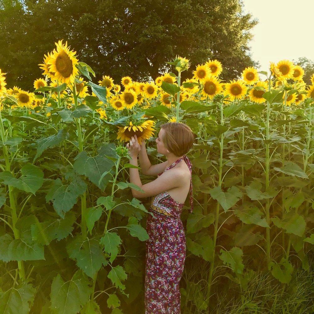 Meet your Posher, Tinsley